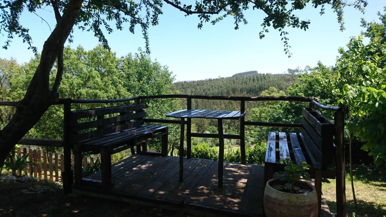Alojamento Casa Do Cabeco Alombada Macinhata do Vouga Exteriér fotografie