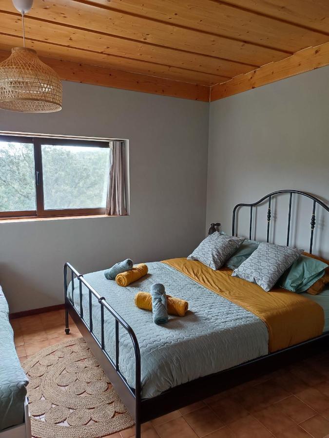 Alojamento Casa Do Cabeco Alombada Macinhata do Vouga Exteriér fotografie