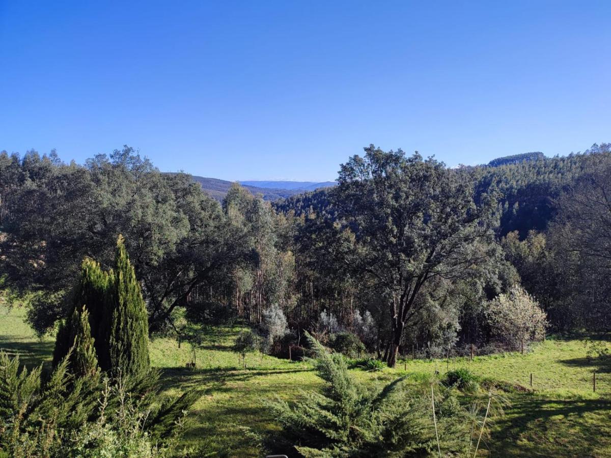 Alojamento Casa Do Cabeco Alombada Macinhata do Vouga Exteriér fotografie